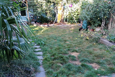 garden before artificail grass installation