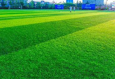 astro sports grass