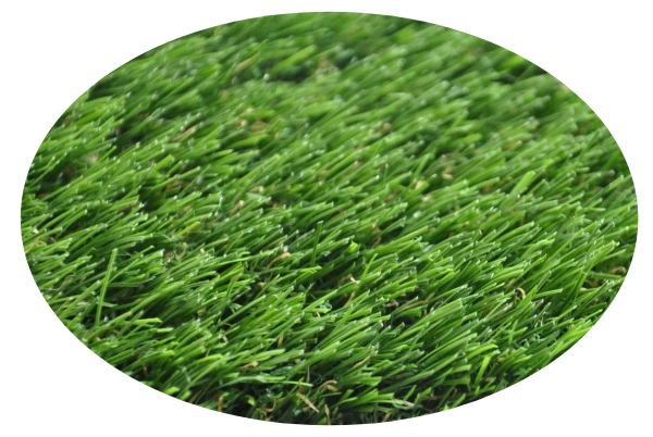 pet friendly grass