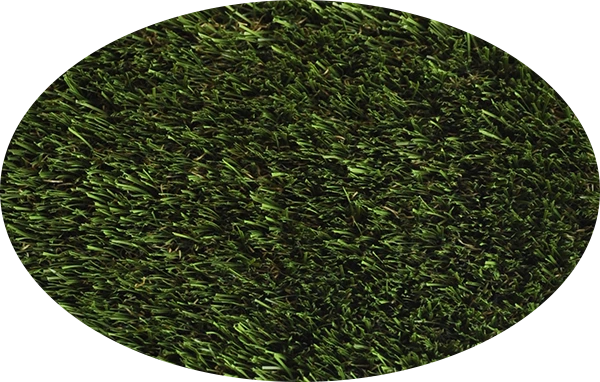 regent grass astro