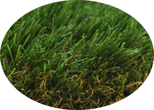 james park grass